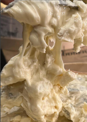 Gorgonzola à la cuillère AOP